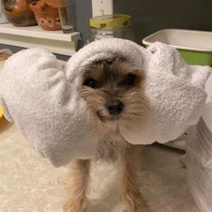 Meet your Posher, Kaycee